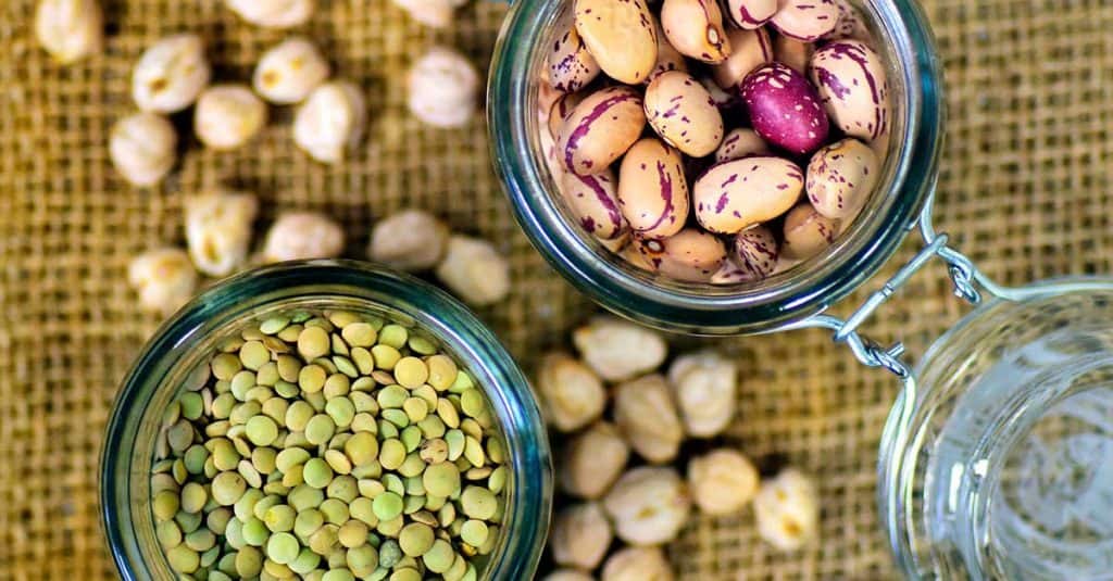 What Vegetarians And Vegans Need To Know About Protein