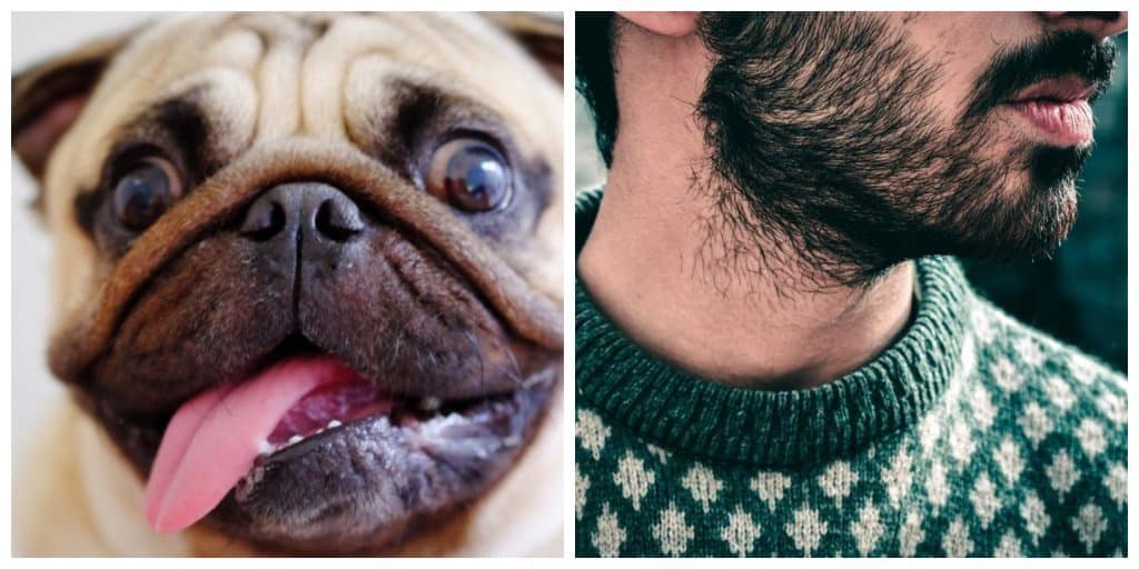 A Study Found That Some Men With Beards Carry More Germs Than Dogs