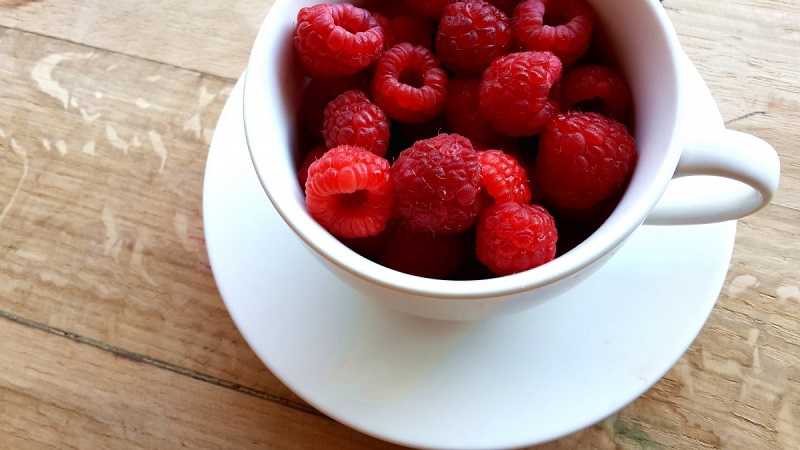 cup of berries